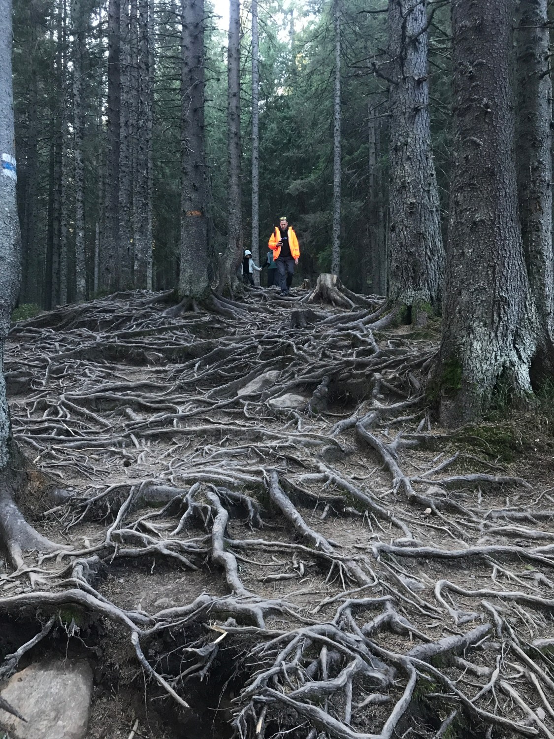 Travel photo: Where it is quieter