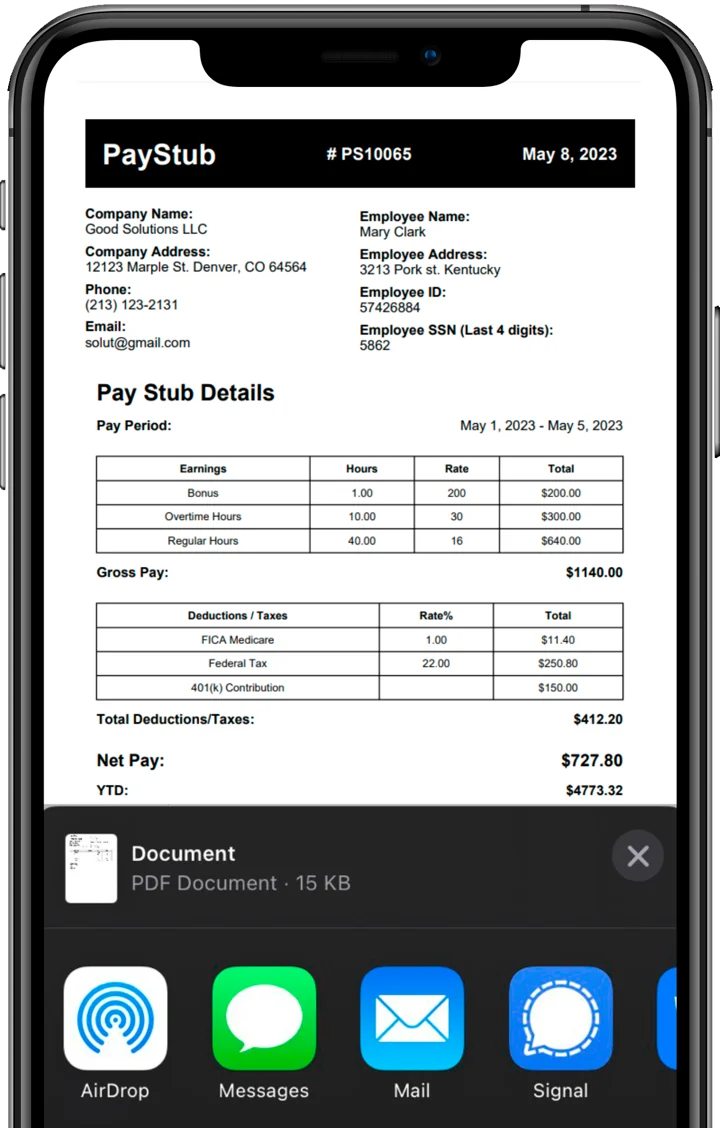 Official PayStub interface presentation.